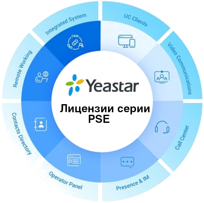 Лицензия PSE AMS (годовая)